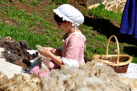 Processing Sheep Wool
