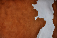 Cow Hide Abstracts